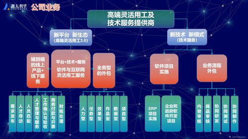 軟件及互聯網高端靈活用工與技術服務提供商