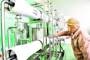 科技驅(qū)動循環(huán)經(jīng)濟 香港金綠源生物科技的創(chuàng)新之路