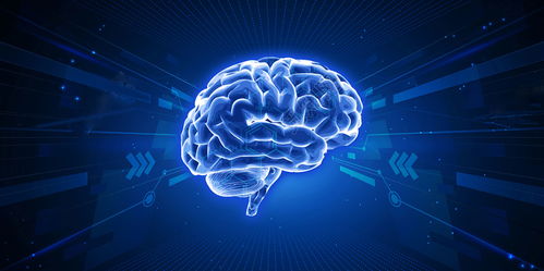 區(qū)塊鏈技術(shù) 從開發(fā)到應用的完整解決方案與技術(shù)服務